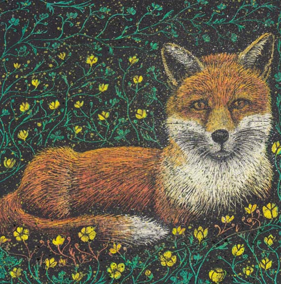 Buttercup foxjpg