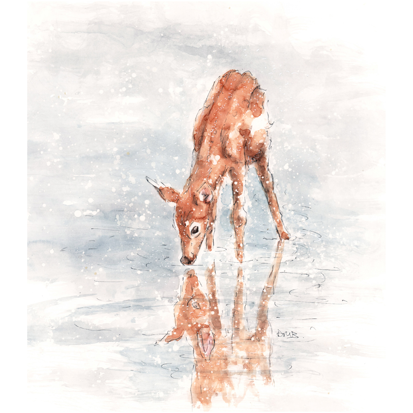 A3 Baby Deer Watercolour Pencil & Ink Illustration