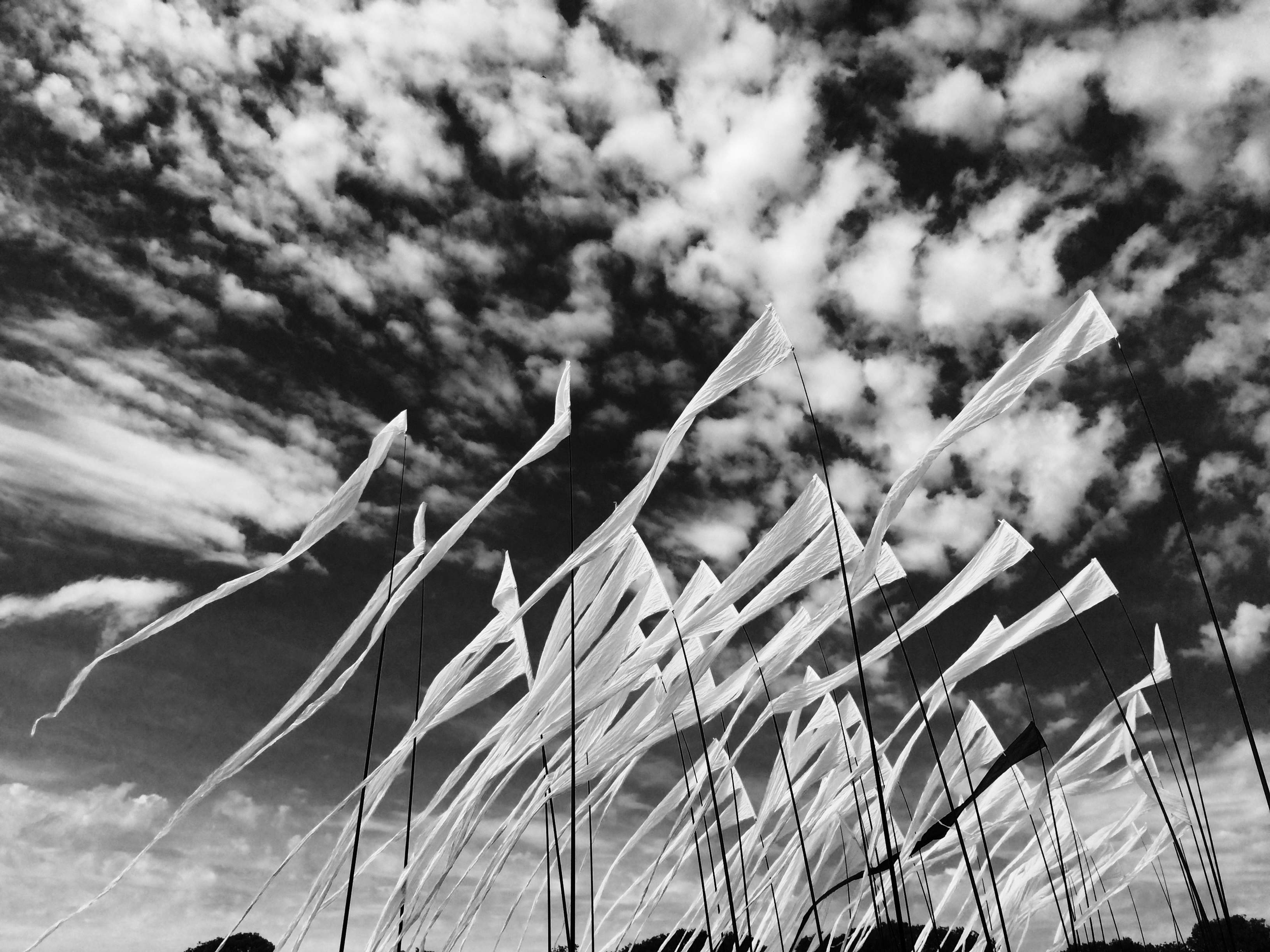 The flags were captivating in the light winds passing across The Downs, Bristol