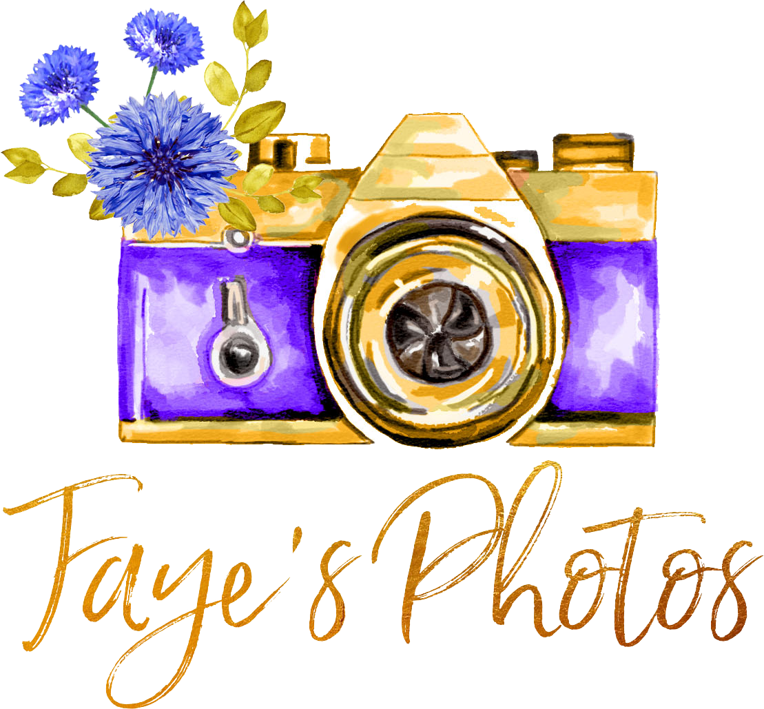 Faye's Photos