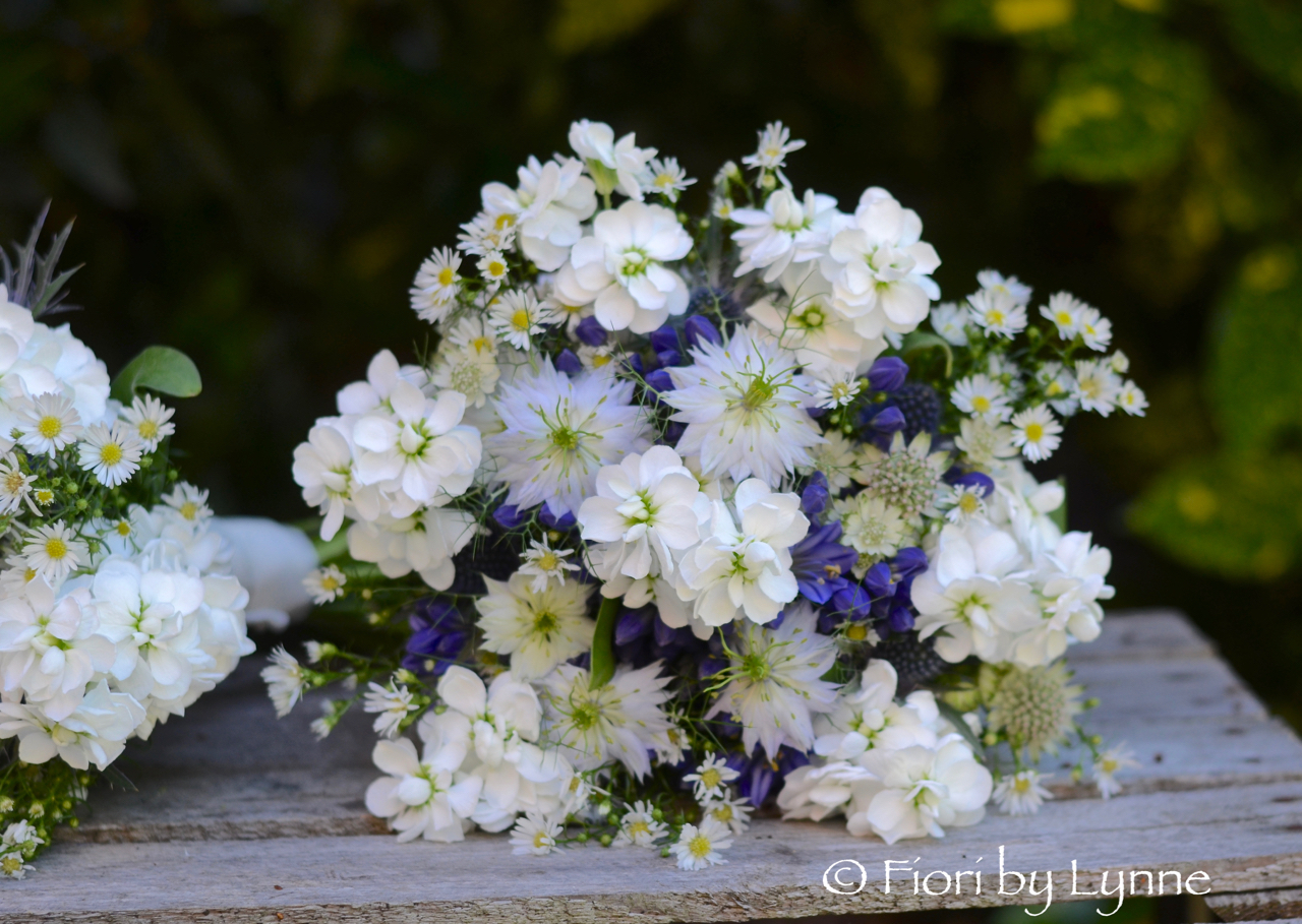 summer-bouquet,blue-agapanthus,nigella,white-stocks,aster,astrantia,country style.jpg