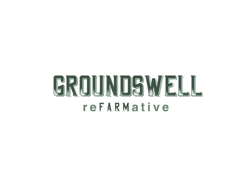 groundswellrefarmative.com