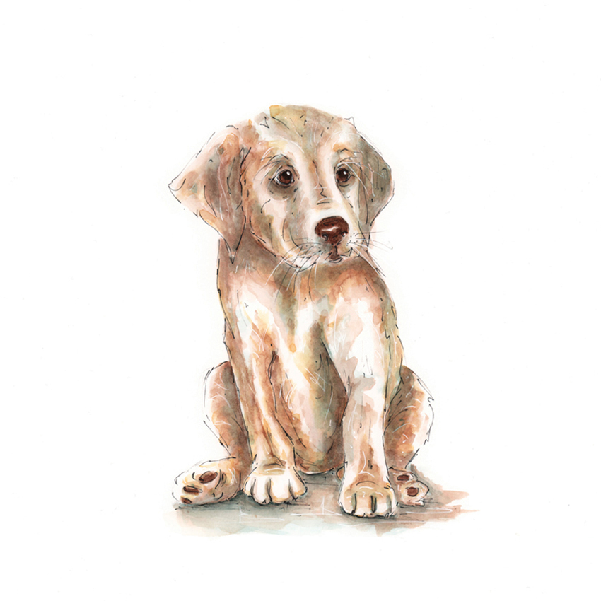 Size A3 Puppy Watercolour Pencil & Ink Illustration