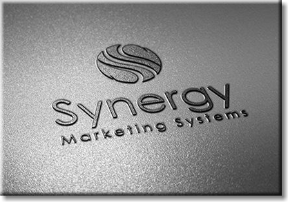 洋書 Synergy Matters BW Synergy | BW Fusion