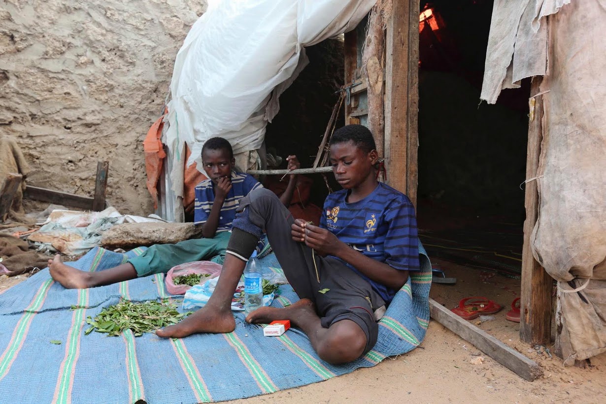 Ali Abdijpg