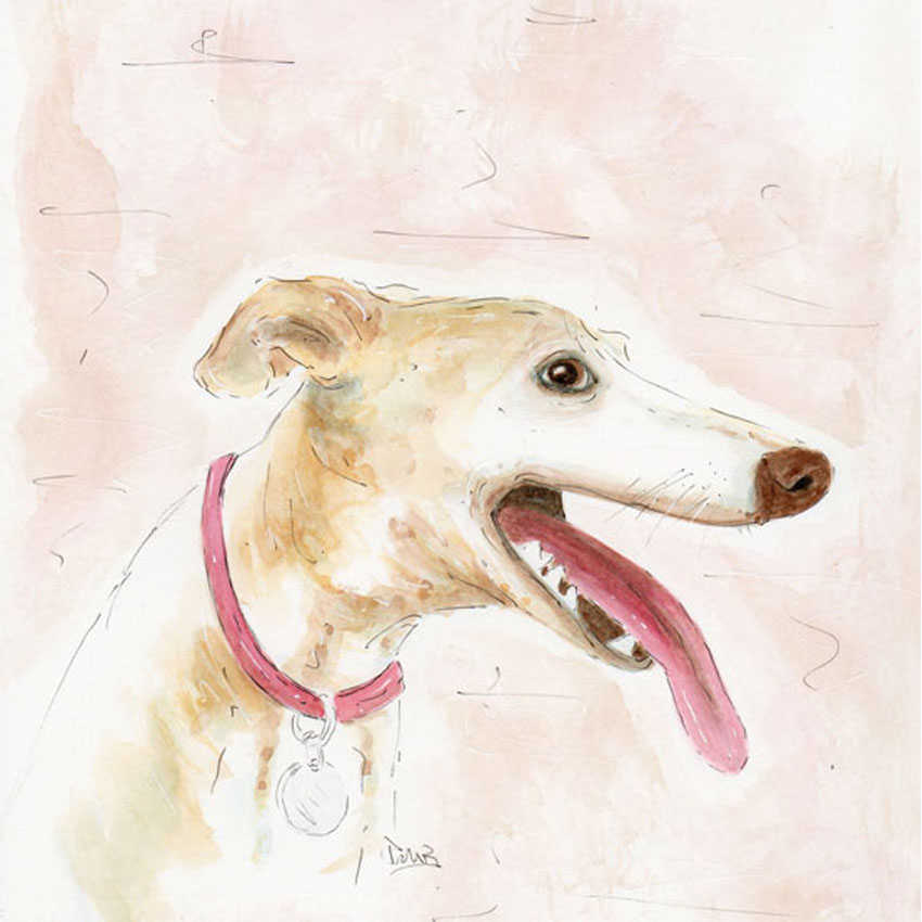 Dog Watercolour Pencil & Ink Illustration
