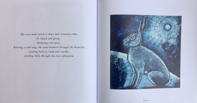 Mad March Hares Book soft cover