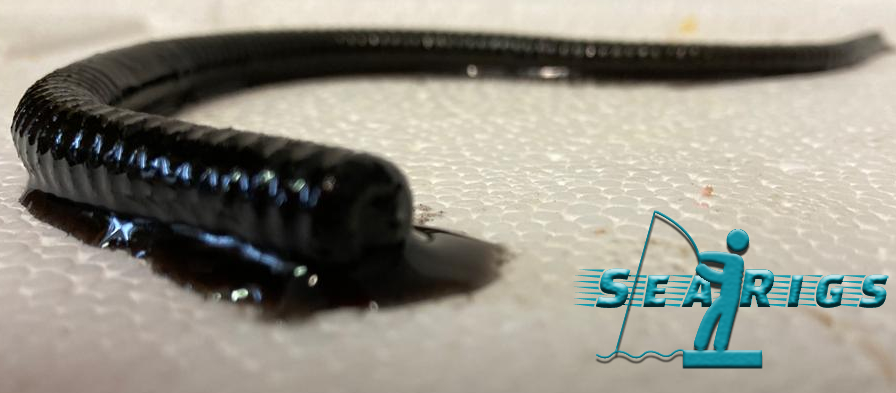 ARTIFICIAL - WELSH BLACK LUGWORM IN NATURAL FLAVOURED BAIT OIL