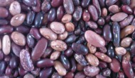 KIDNEY BEANS