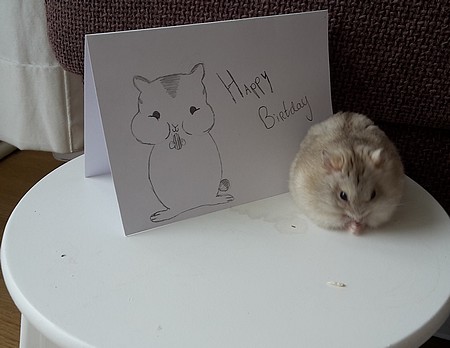 11-09-17 hamster van Hanneke en fenne 1 jaarjpg