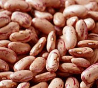 KIDNEY BEANS