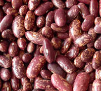 KIDNEY BEANS