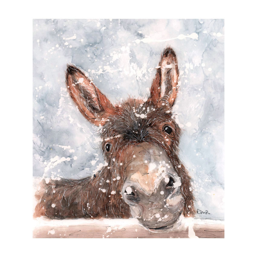 A3 Donkey Watercolour Pencil & Ink Illustration