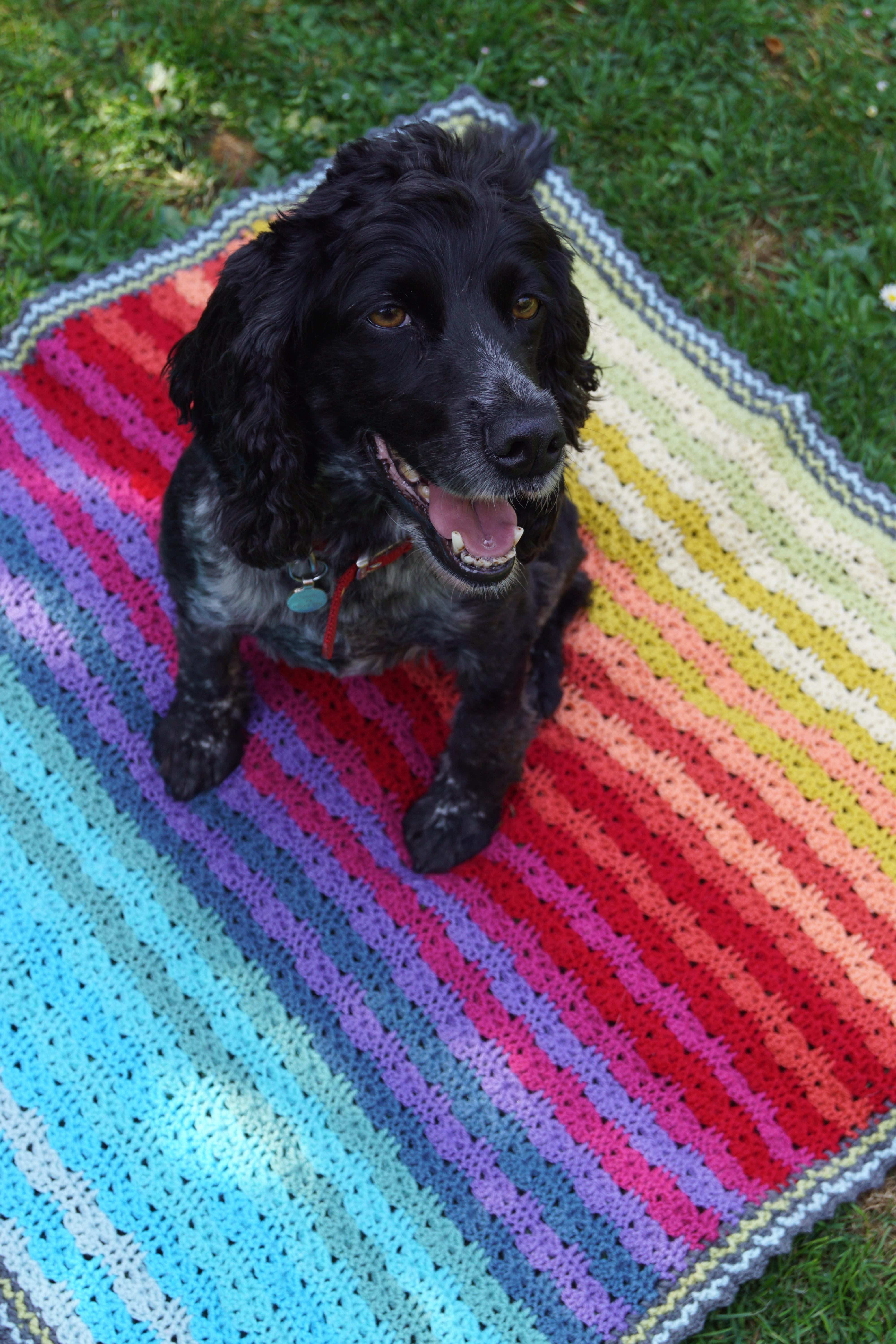 Lola on my quilts 9JPG