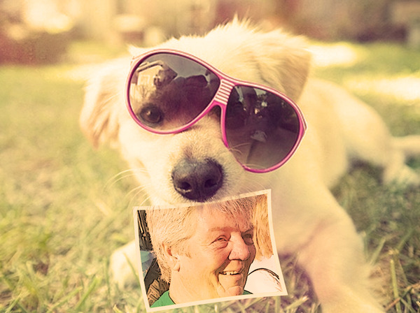 Fun Photo Effect 20181223 b4a5b7670c71639830c5ad40c95b0910059d70f2jpg
