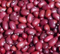 KIDNEY BEANS