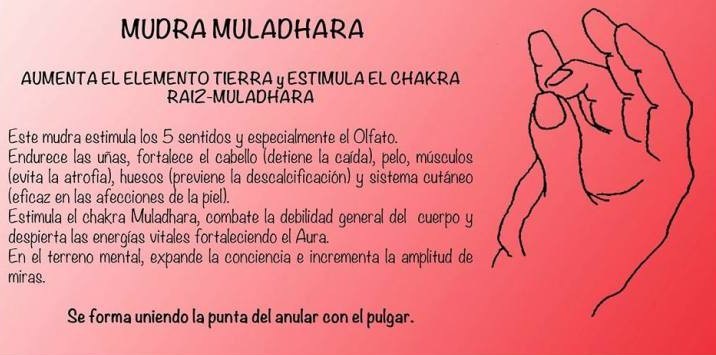 Mudra Mulhadarajpg
