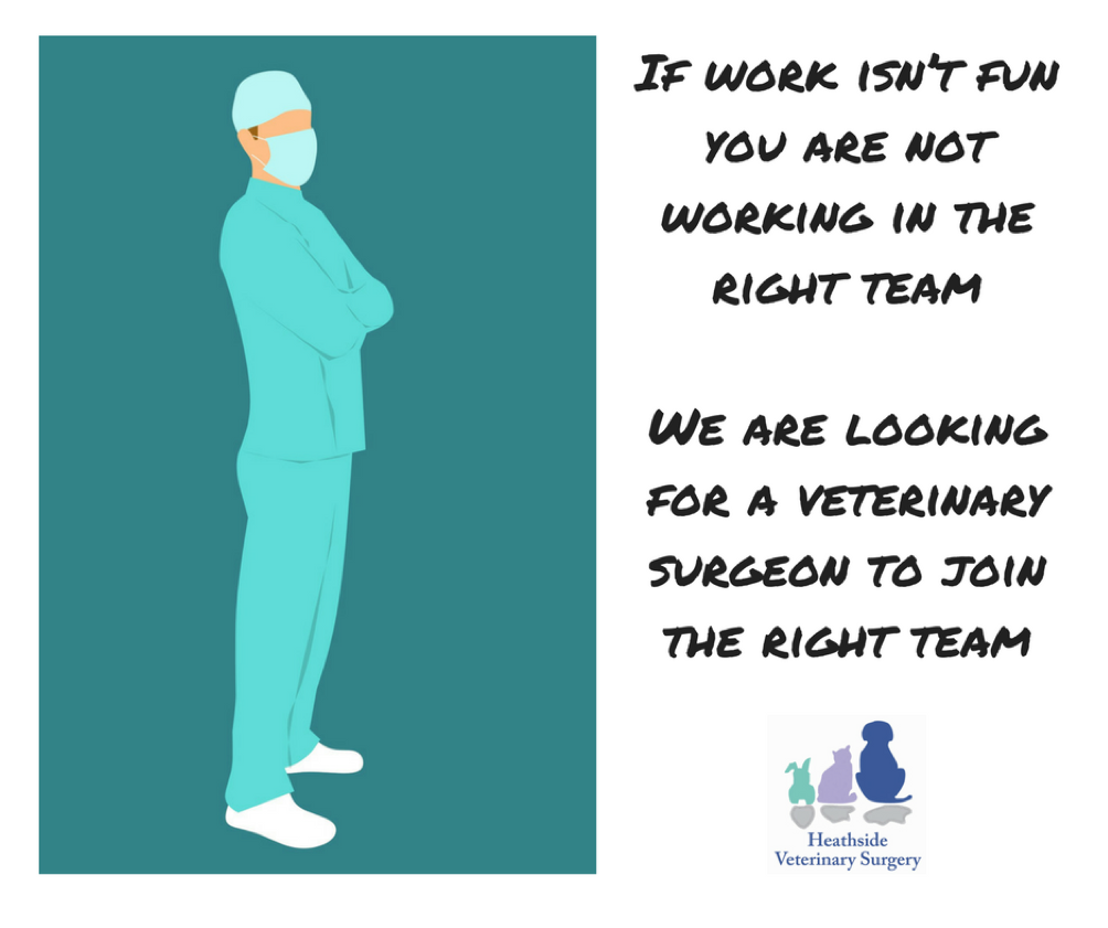 Job Vacancies - Heathside Veterinary Surgery