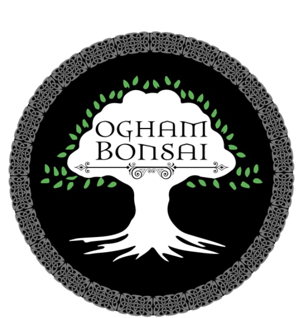 Ogham Bonsai