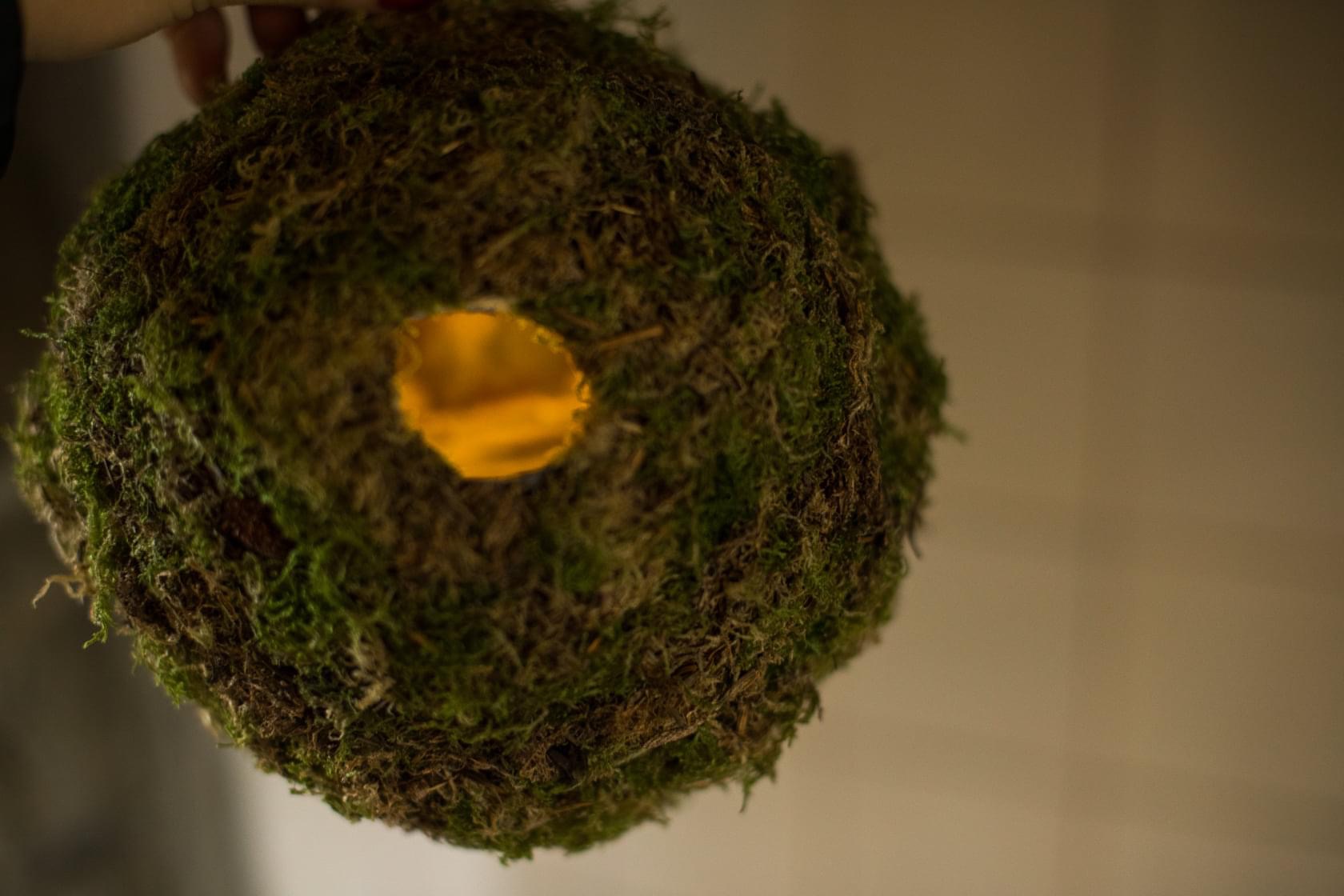 moss, paper, acrylic paint, iron wire, diameter approx 20 - 25 cm, 2020