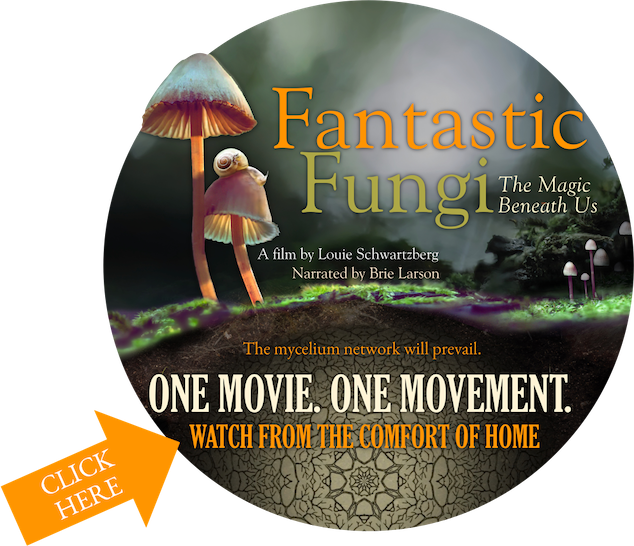Fantastic Fungi - A Movie!