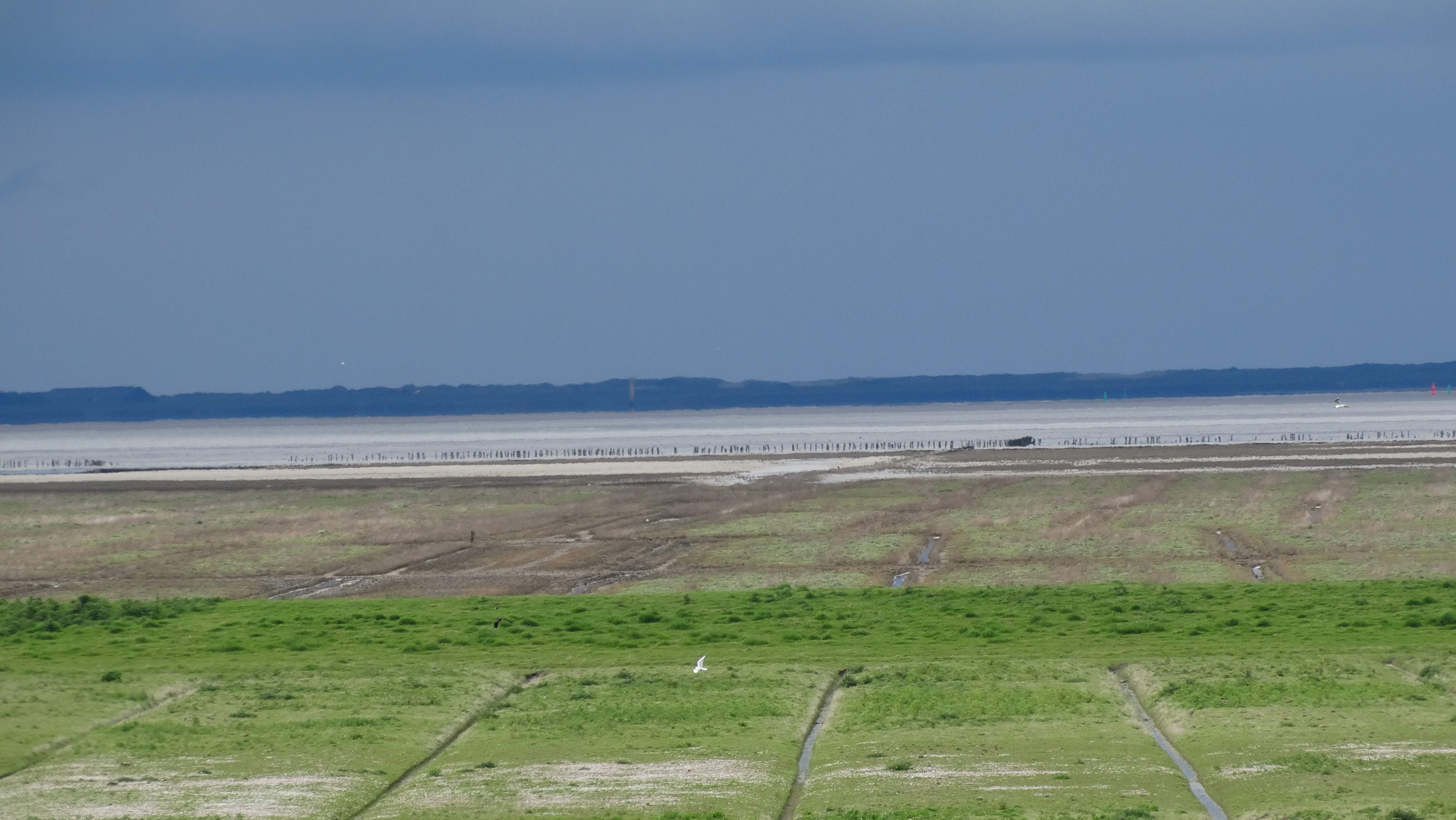 Ameland in the distance
