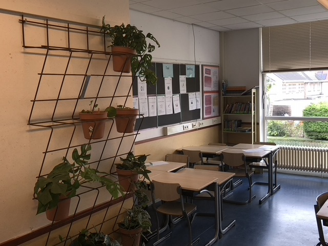 Planten in de klas, scholenproject met IVN, Basisschool Almere