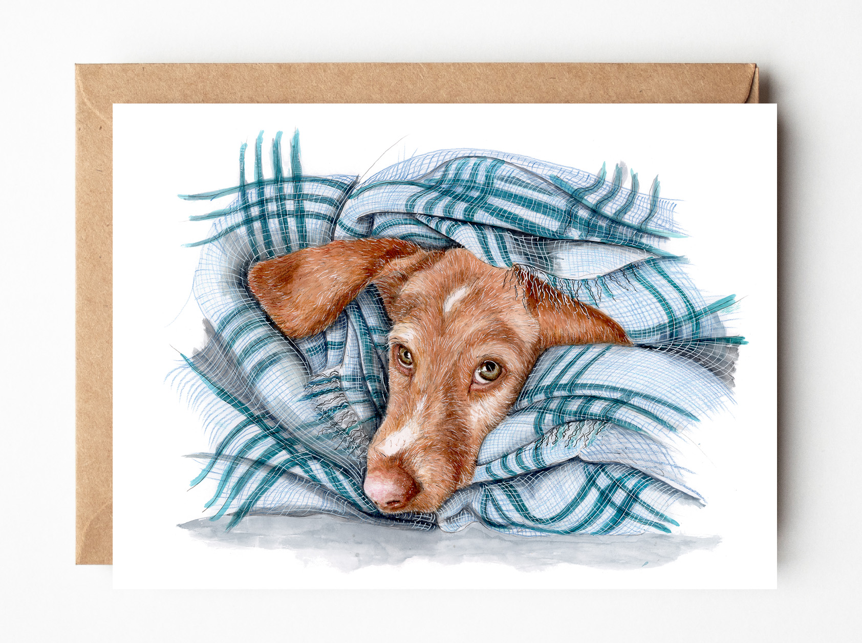 Snug As A Bug
