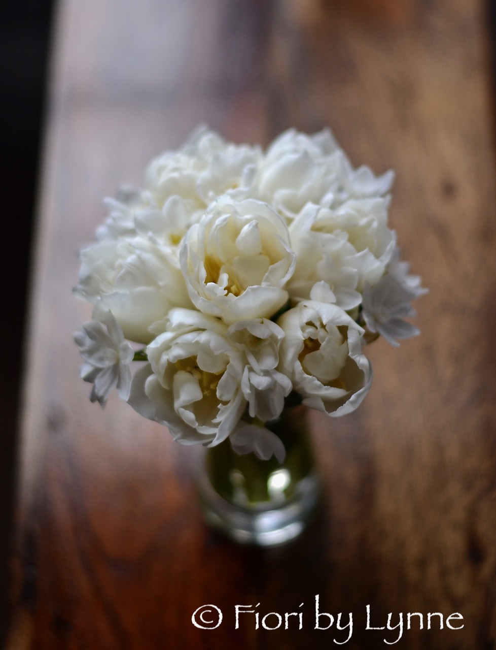 tulips,paperwhites,white..jpg