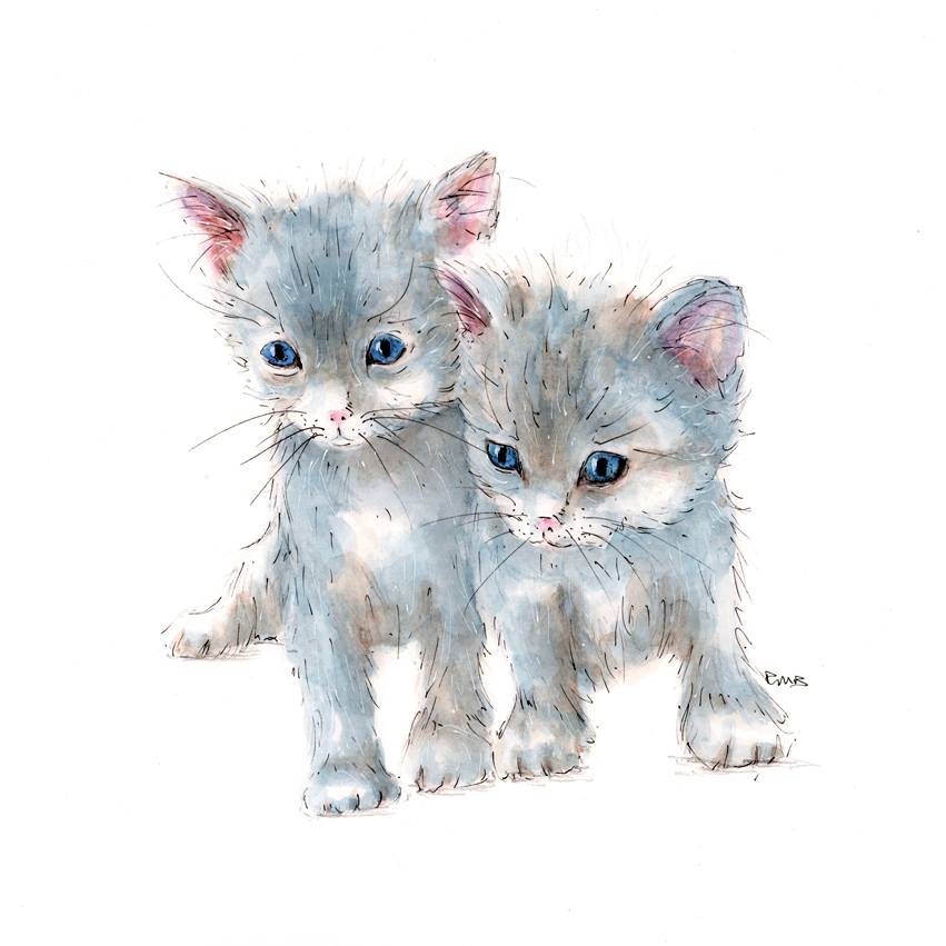 A3 Kitten Watercolour Pencil & Ink Illustration