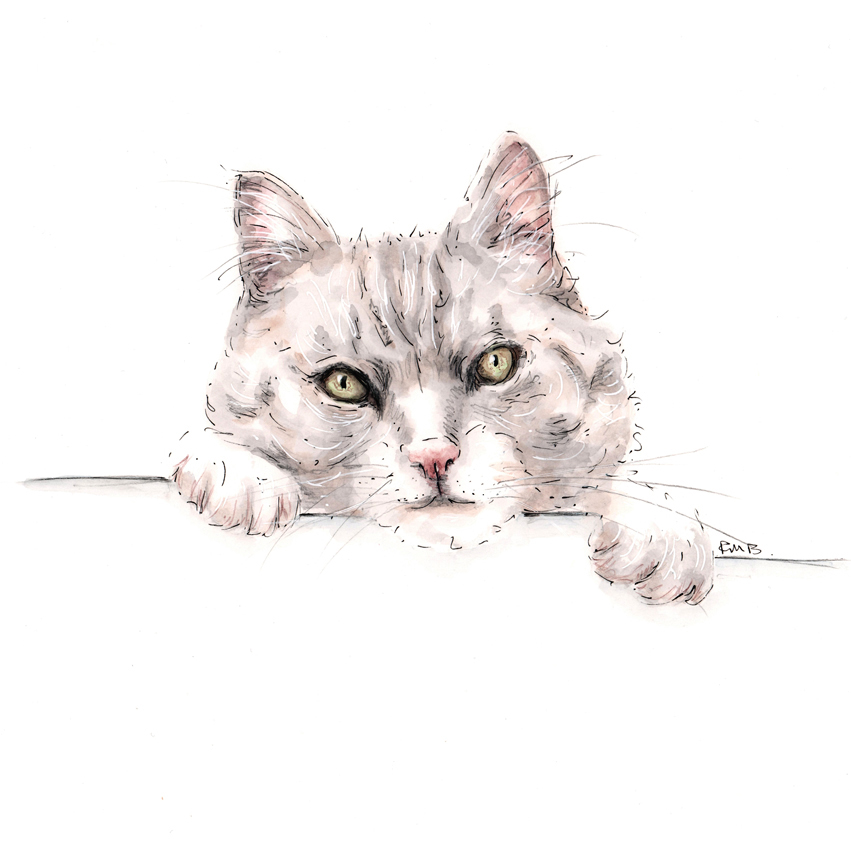 A3 Cat Watercolour Pencil & Ink Illustration