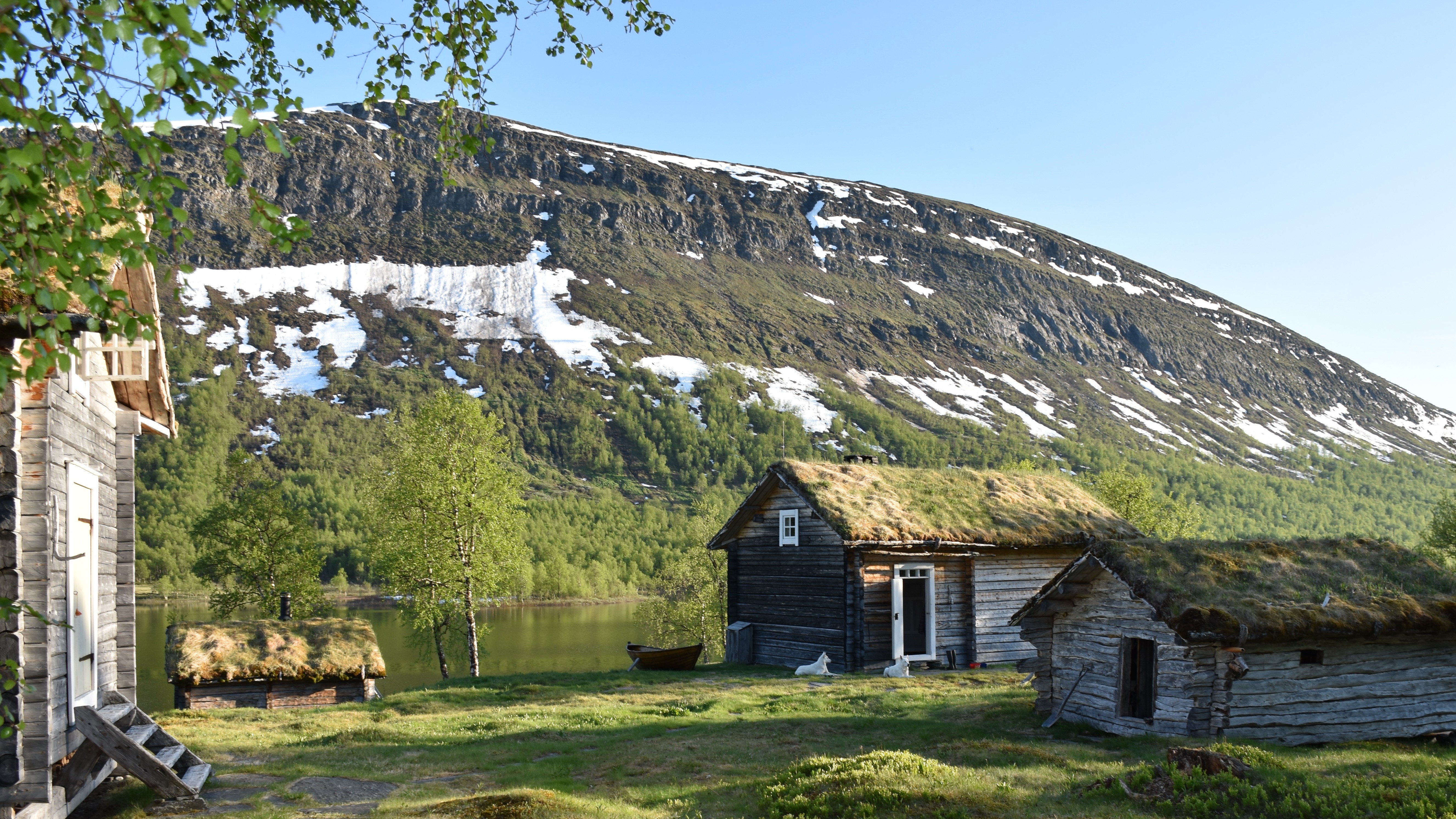 Midsummer in Geunja photo Ann-kristine Vinka webbjpg