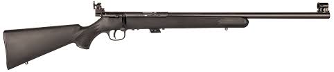 Savage Arms Mark II FVT