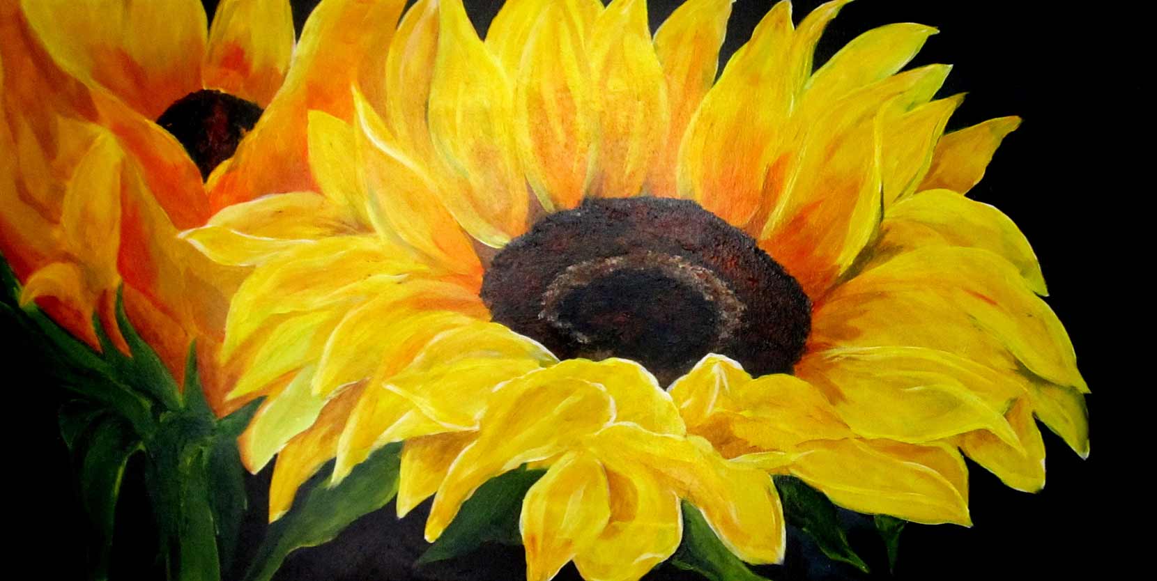 "Sunflower", 48x24