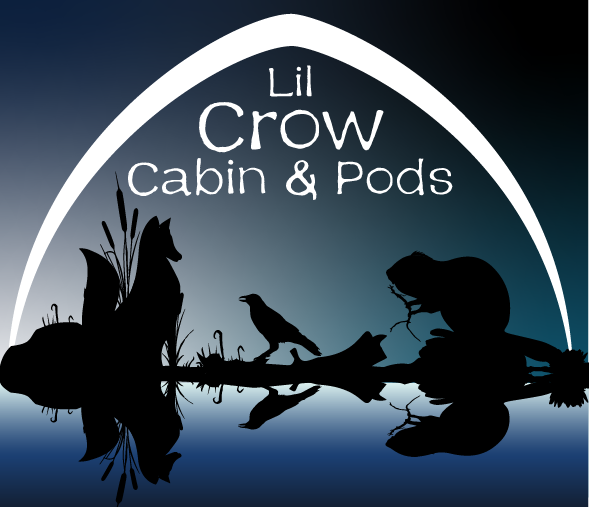 LiL Crow Cabin & Sound Therapy Pod