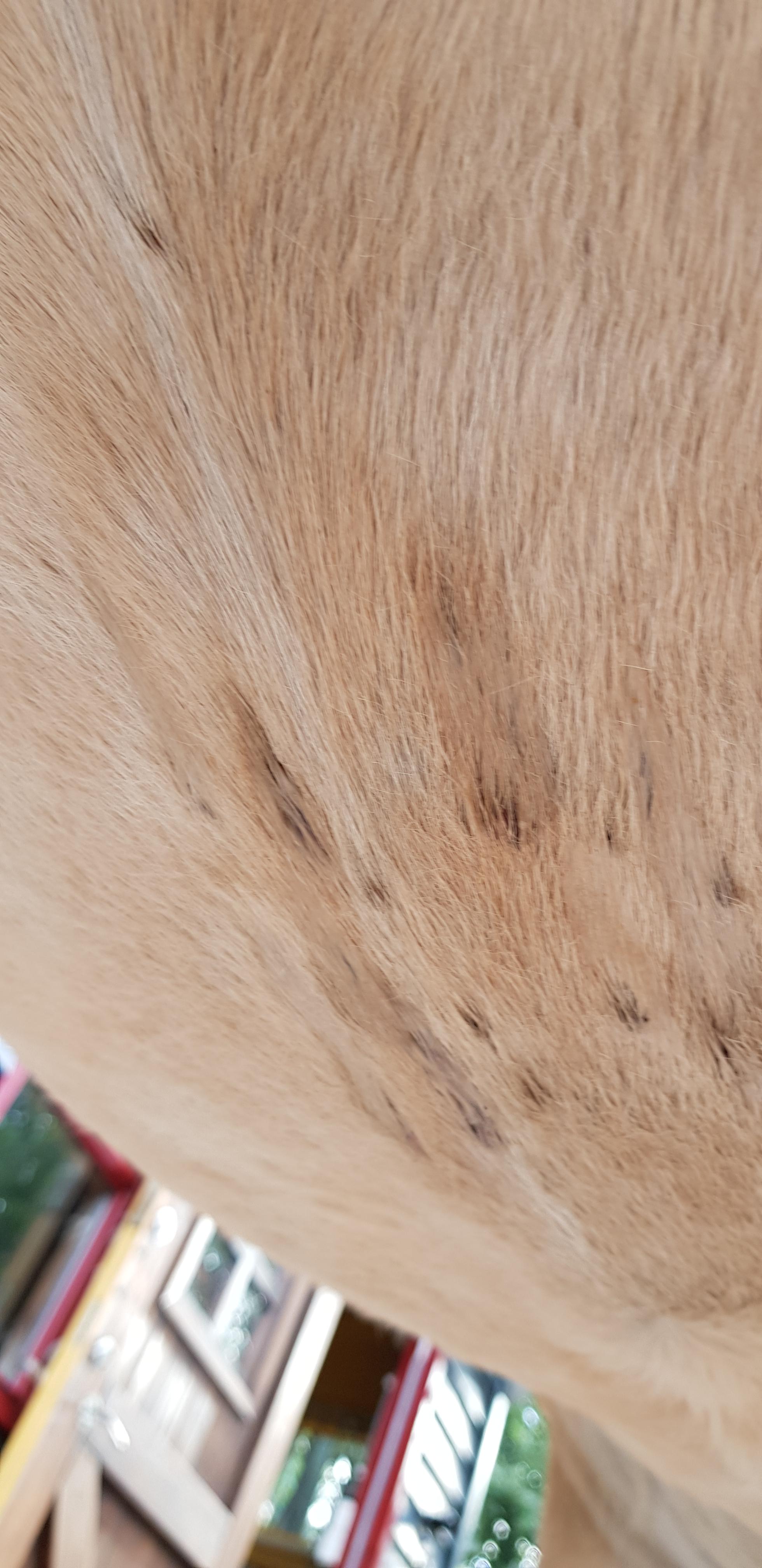 20190918_092510.jpg