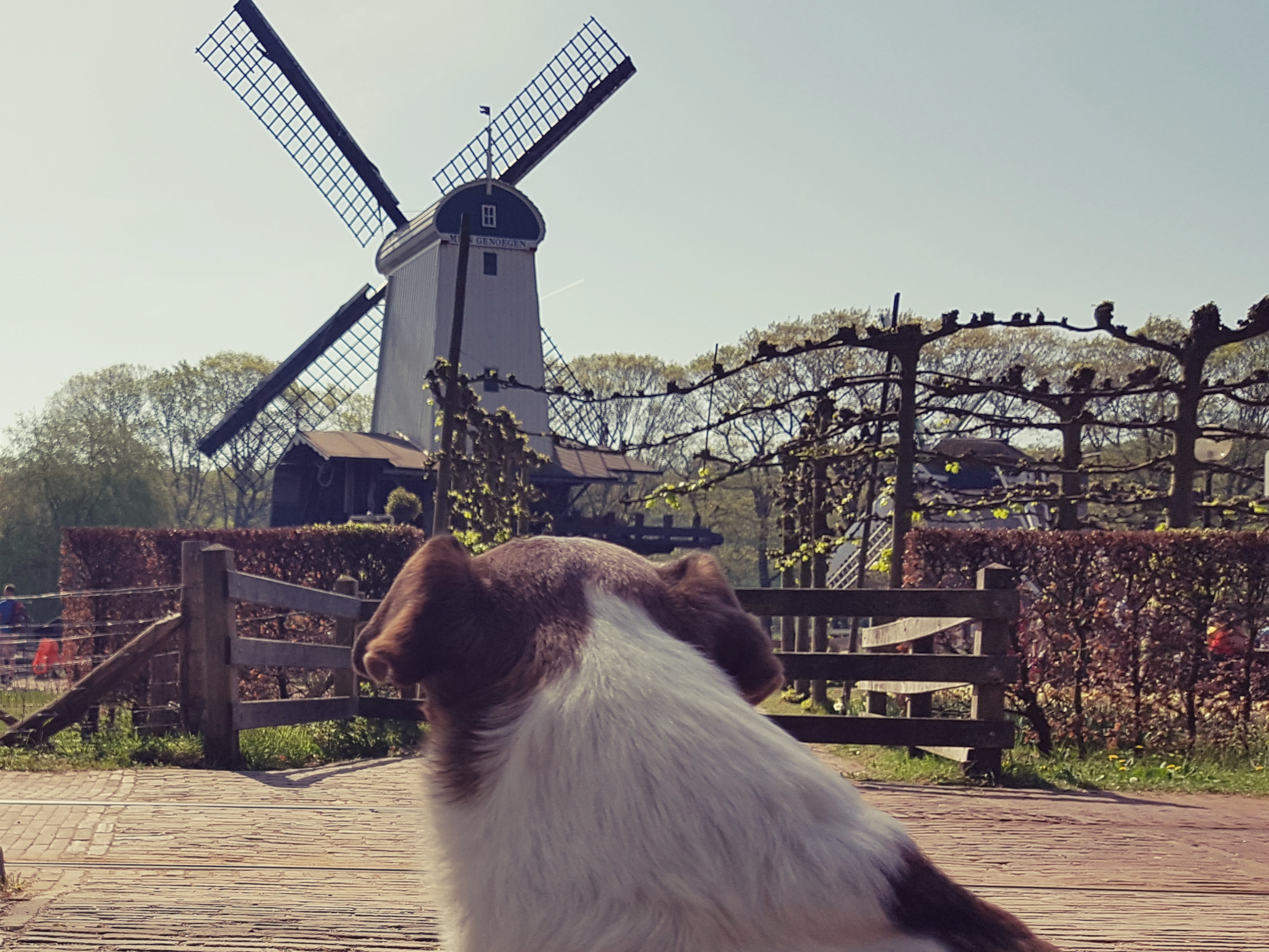 Wat als je terug in de tijd kon?