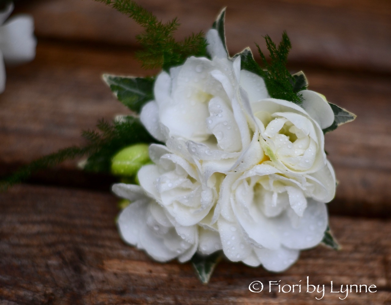 corsage-white-double-freesia.jpg