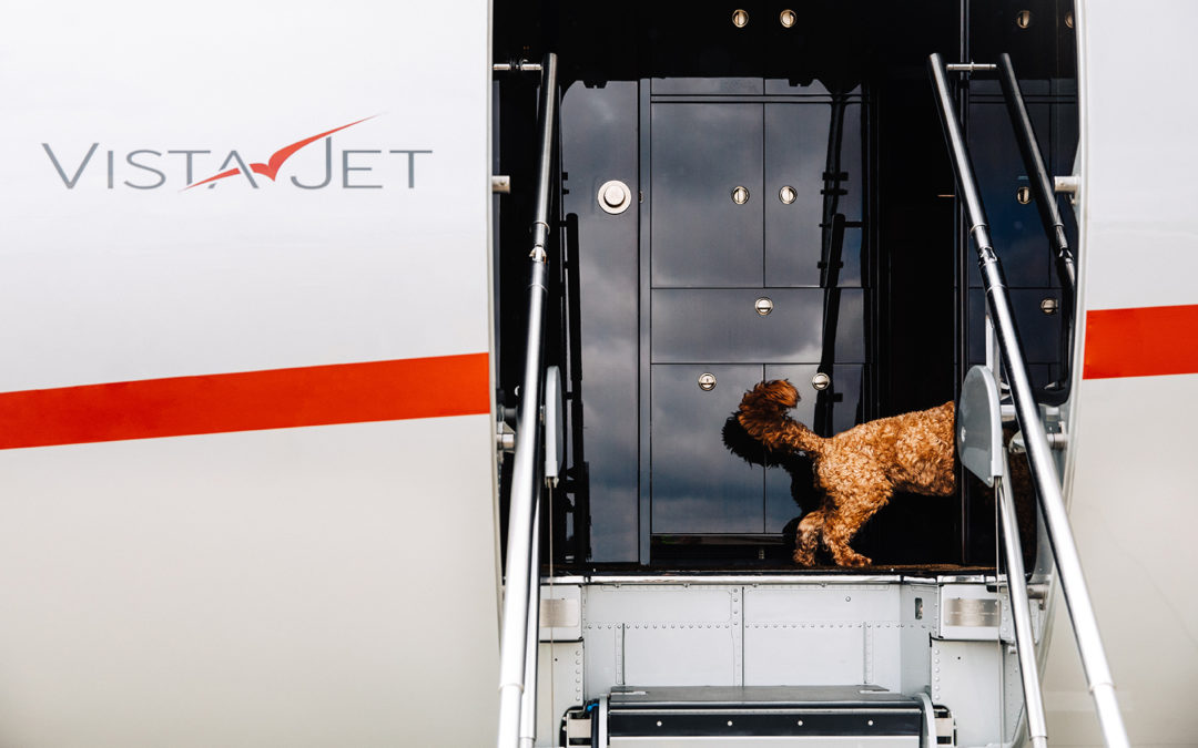 VistaJet_VistaPet_1-1080x675jpg