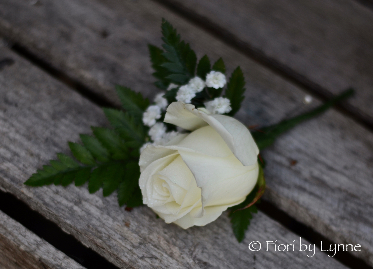buttonhole-white-rose-gypsophila-fern.jpg