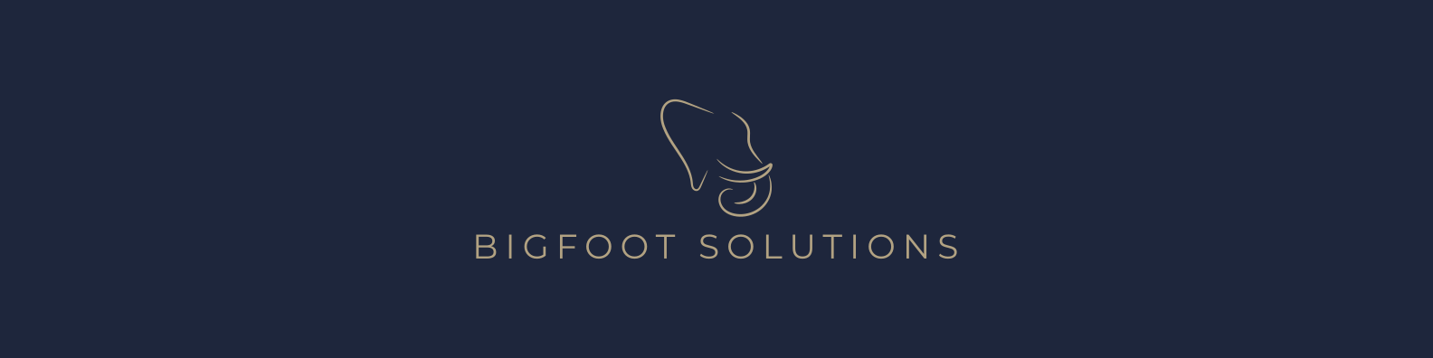 Bigfoot Solutions