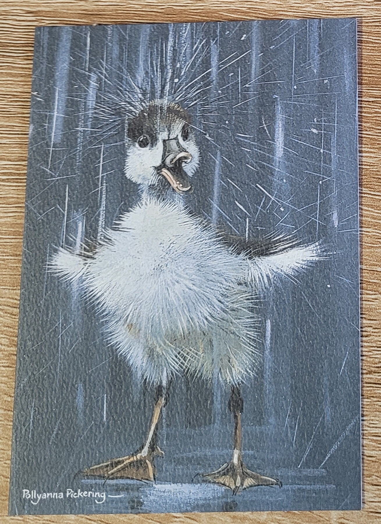 Duckling card.