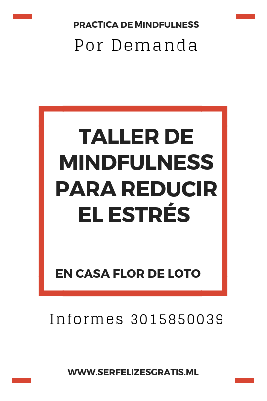 Talleres Mindfulnesspng