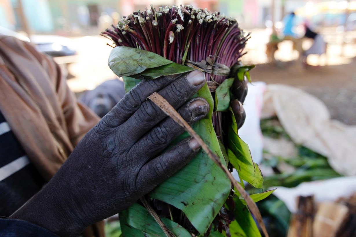 oneladas de khat o qatajpg