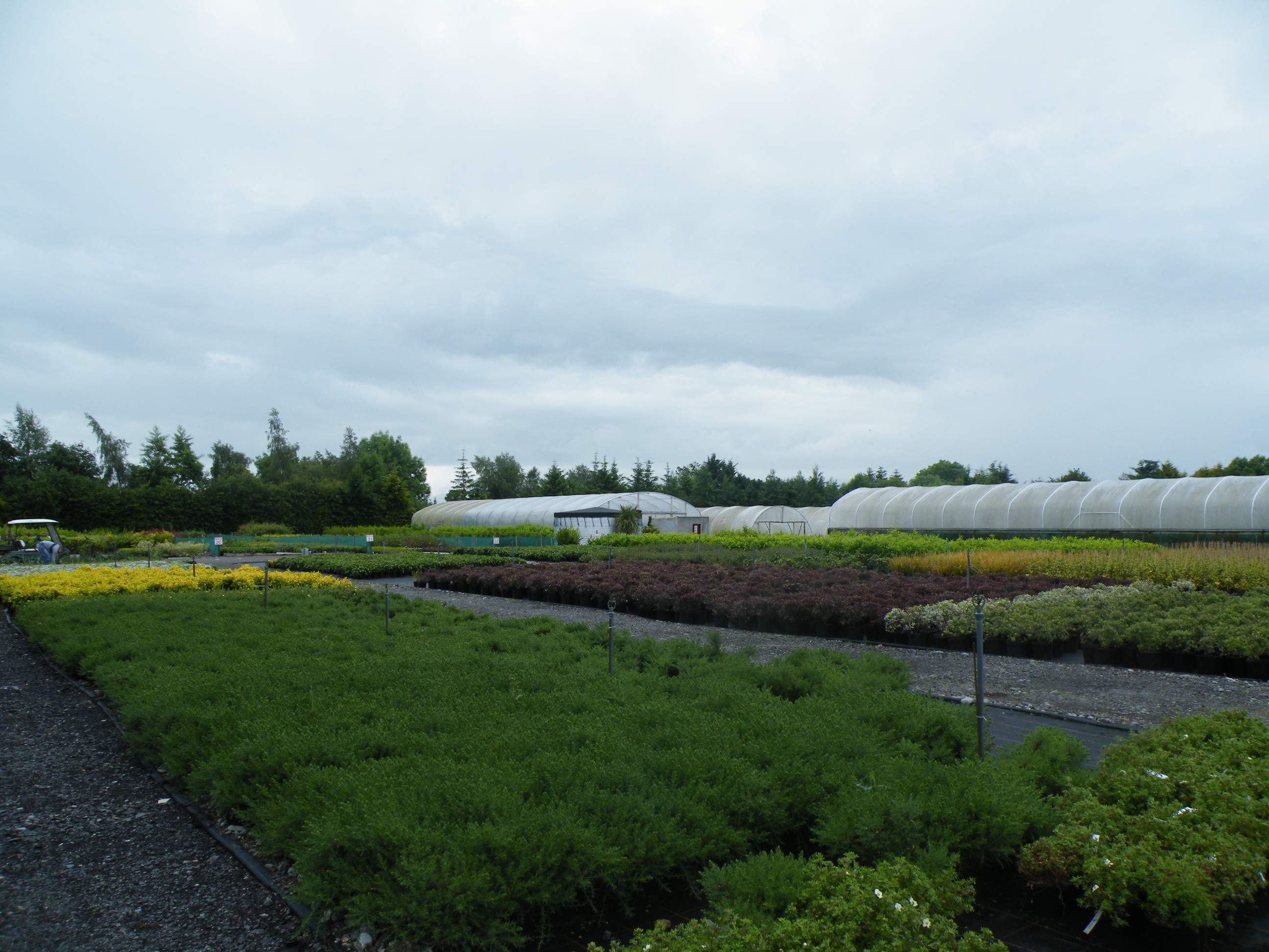 View of Woodview Plants
