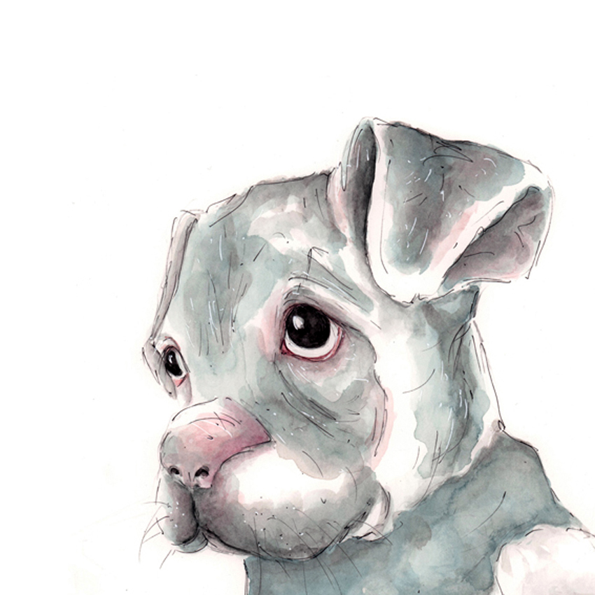 Size A3 Puppy Watercolour Pencil & Ink Illustration