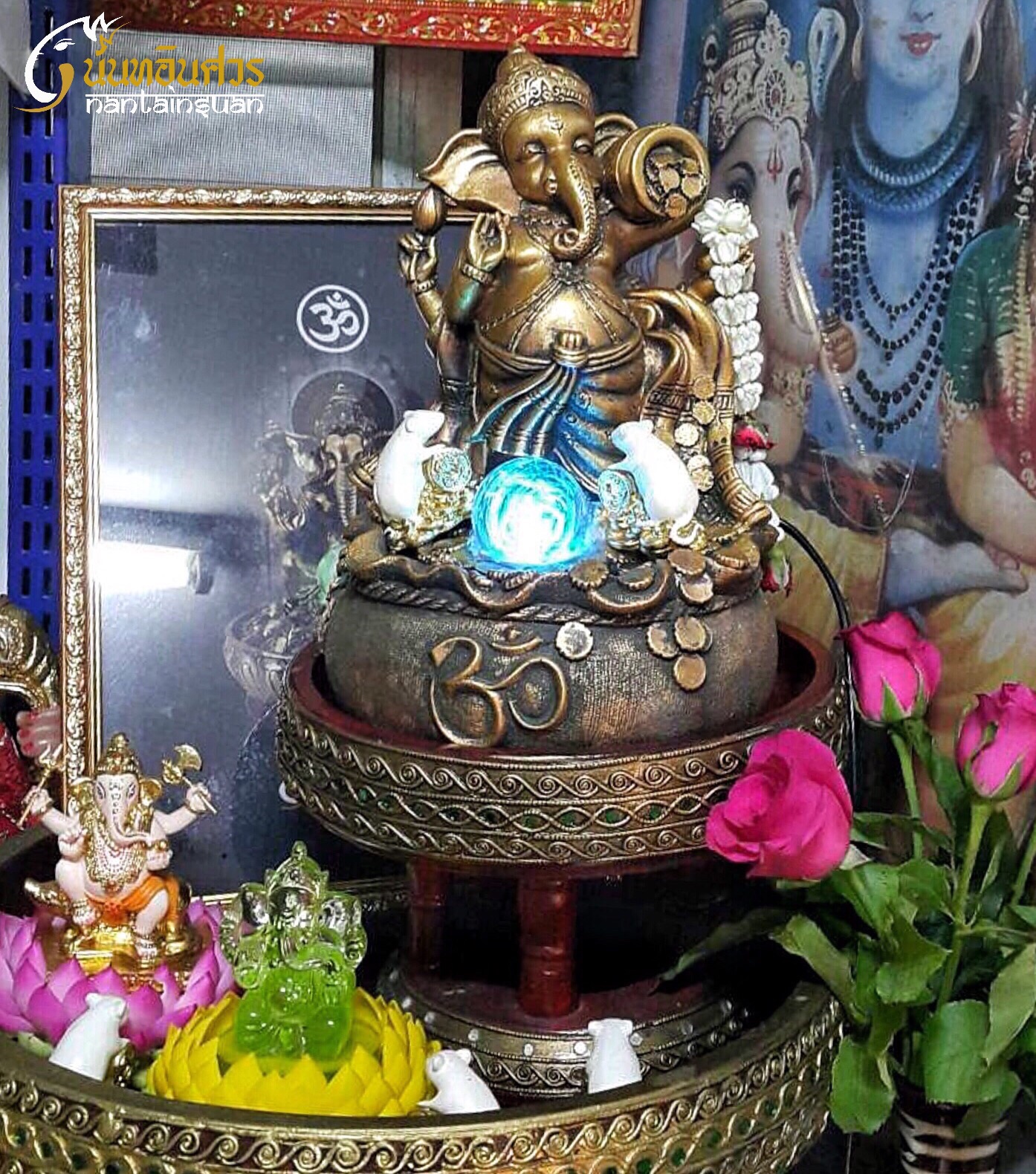 My Image 21