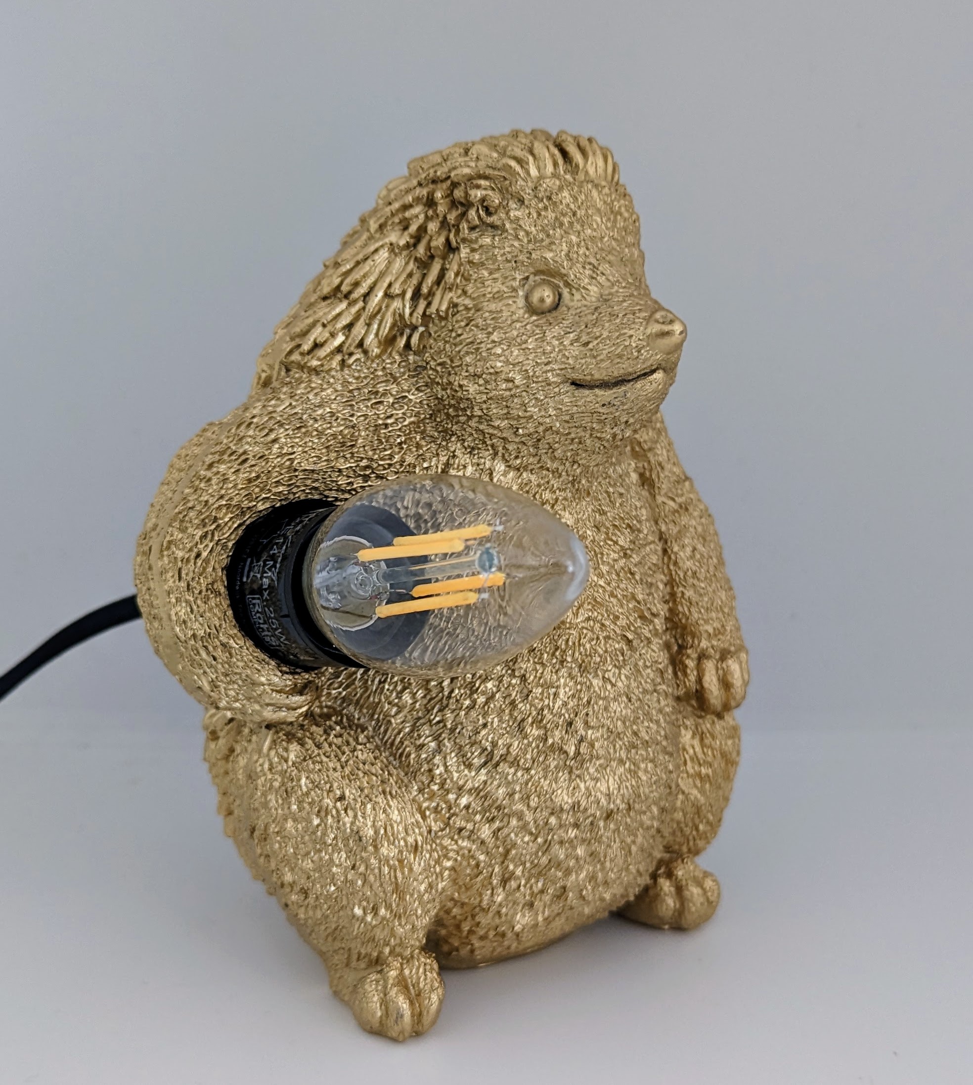 Egel, een leuk goudkleurig tafellampje van €34,95 nu €29,95