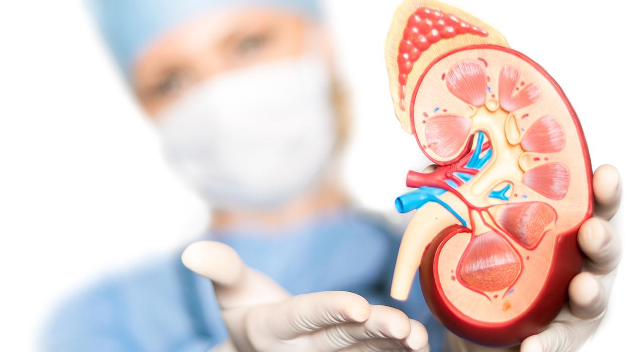 experto-transplante-renal-enfermeria2jpg