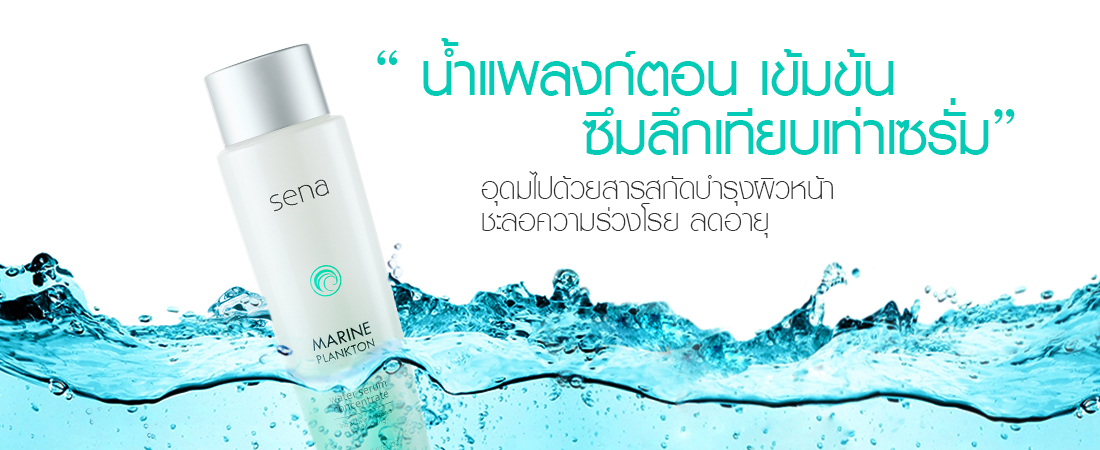 ผลการค้นหารูปภาพสำหรับ sena marine